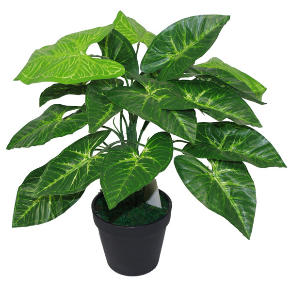 Artificial store floor plant